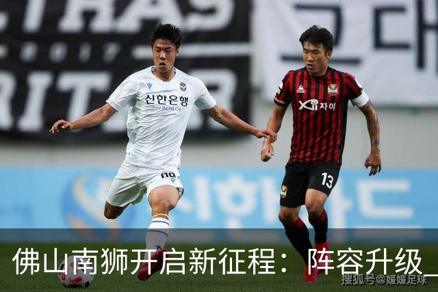 佛山南狮开启新征程：阵容升级 目标中甲前八